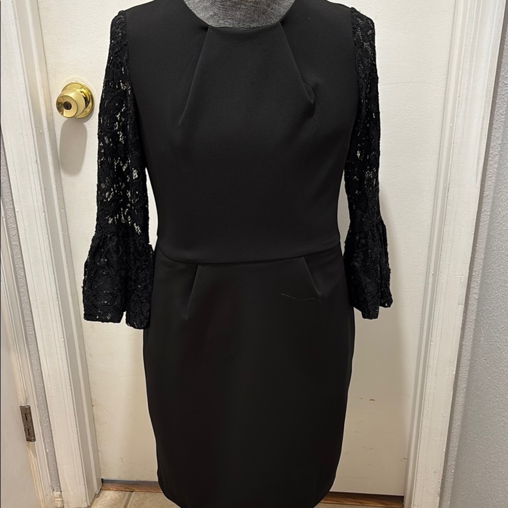 Scarlett Elegant Black Lace Sleeve Dress